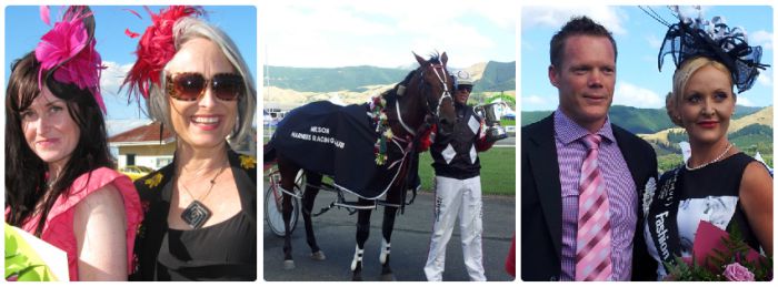 Nelson Harness Races in Nelson - trotting - horses - family fun
